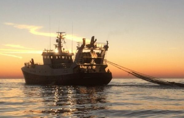 La Autoridad de Supervisión de la Sobrepesca de la NVWA Ratificada por Tribunal Holandés a Pesar de Apelaciones de ONG Ambientales