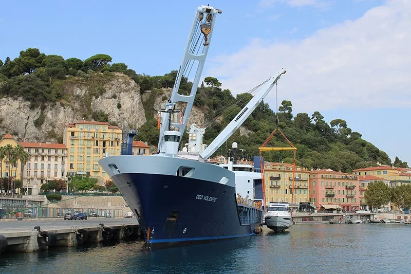 Hartman Seatrade adds two Liebherr LS 250 ship cranes