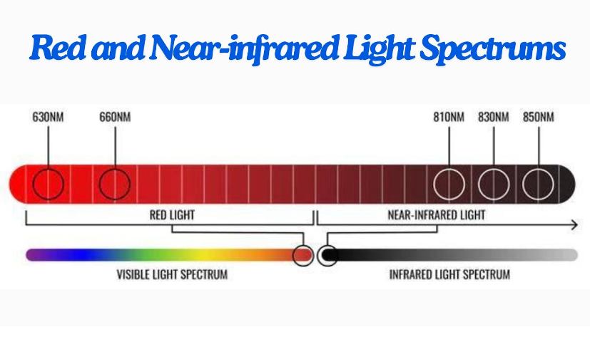 Terapia de Luz Roja 101: Aprenda los Fundamentos de la Luz Roja y del Infrarrojo Cercano (NIR)