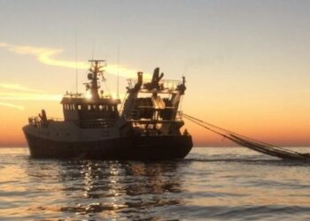 The NVWA’s Authority on Overfishing Oversight Upheld by Dutch Court Despite Appeal from Environmental NGOs