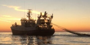 The NVWA’s Authority on Overfishing Oversight Upheld by Dutch Court Despite Appeal from Environmental NGOs