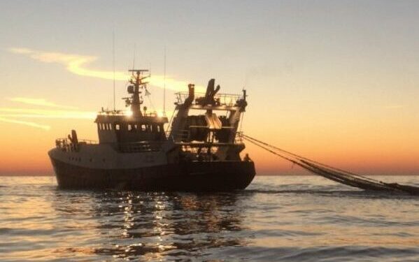 The NVWA’s Authority on Overfishing Oversight Upheld by Dutch Court Despite Appeal from Environmental NGOs