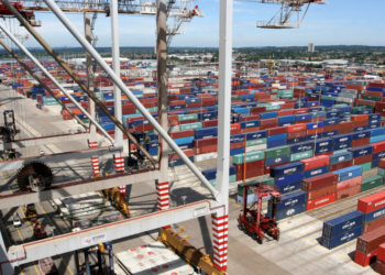 DP World selects Pledge for carbon cutting metrics