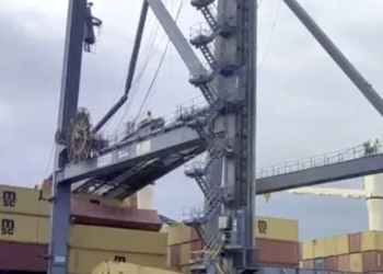Container crane crashes down on MSC feeder at Yantian port