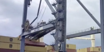 Container crane crashes down on MSC feeder at Yantian port