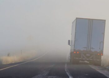 Freight market green shoots fade heading into October