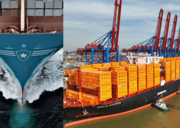 Maersk, Hapag-Lloyd share finalised service maps, including Cape of Good Hope alternative