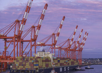 MSC increases rates from North Europe to North Med