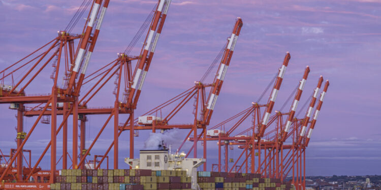 MSC increases rates from North Europe to North Med