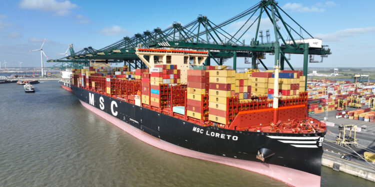 MSC updates European service network