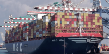 MSC vessels flock to India’s Vizhinjam hub amid evolving regional transshipment flows