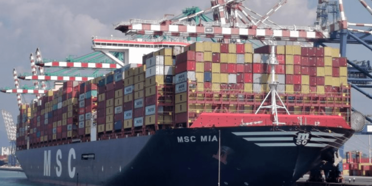 MSC vessels flock to India’s Vizhinjam hub amid evolving regional transshipment flows