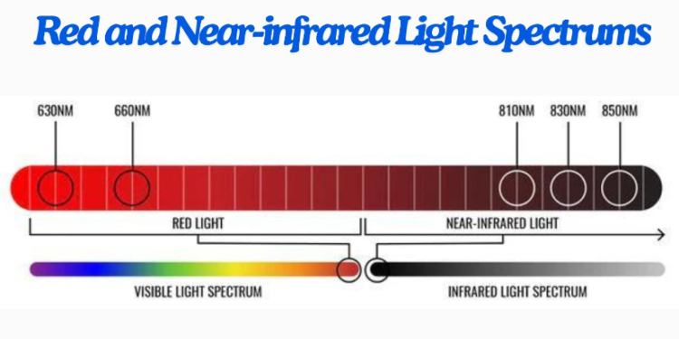 Red Light Therapy 101: Learn the Basics of Red & Near Infrared (NIR) Light