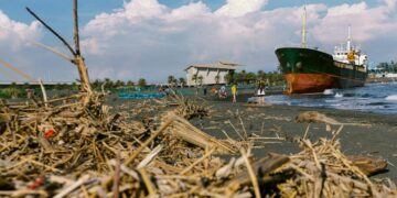 Typhoons causing billions in agricultural losses, disrupt global supply chains