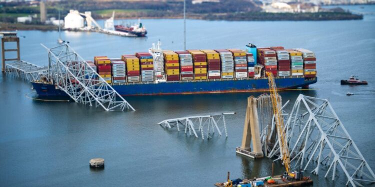 Coal company sues Dali shipowners for over $100M