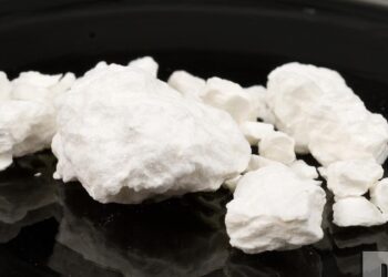 Large Cocaine Shipment Found in Australia’s Port Botany