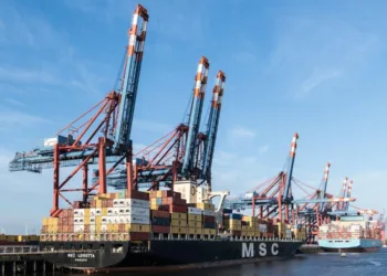 How to Secure an Internship With Top Container Shipping Companies