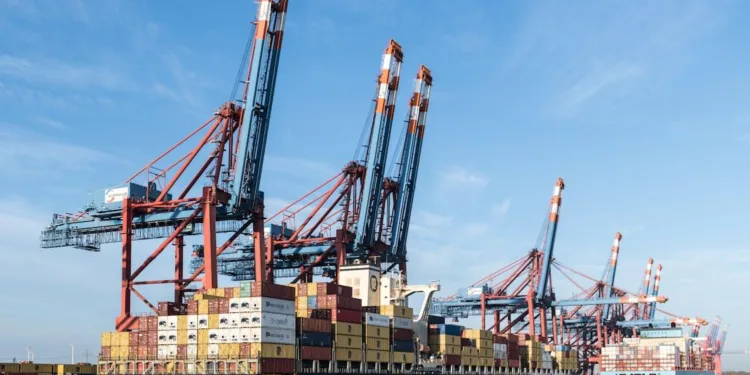 How to Secure an Internship With Top Container Shipping Companies