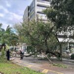 Hurricane Milton deals estimated $160B blow in damage, economic lossSea News​