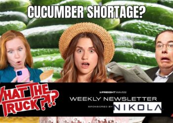 Is a TikToker with 6.8M followers causing a cucumber shortage?