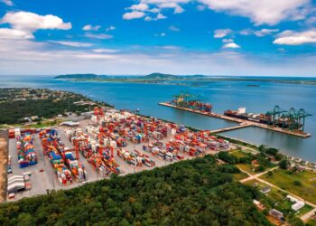 Porto Itapoá expands reefer capacity amid rising animal protein exports