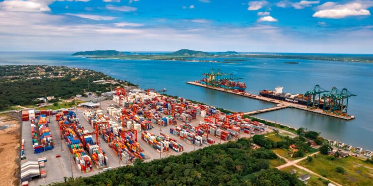 Porto Itapoá expands reefer capacity amid rising animal protein exports