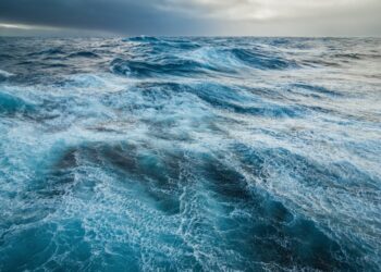 Red Sea and Black Sea in the Spotlight