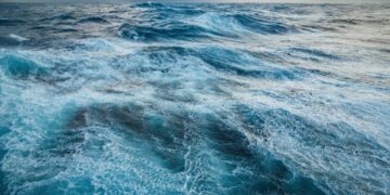 Red Sea and Black Sea in the Spotlight