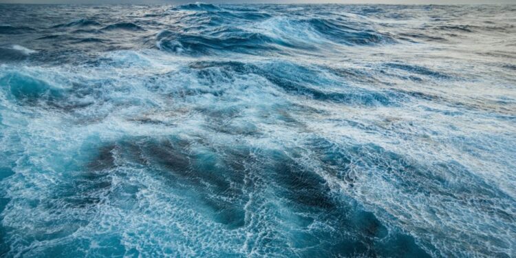 Red Sea and Black Sea in the Spotlight