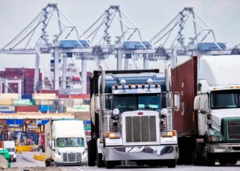 Savannah container imports up 17%