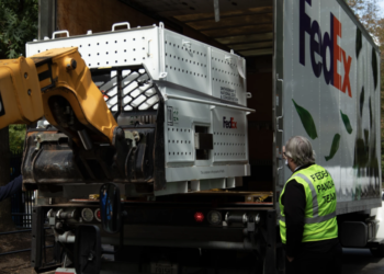 The pandas are back in town: ‘FedEx Panda Express’ brings bears to US