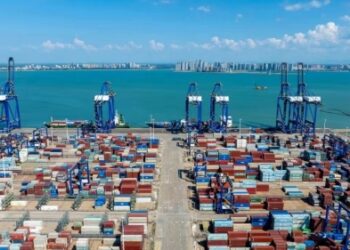 Yangpu Port and Abu Dhabi Terminal strengthen their relations