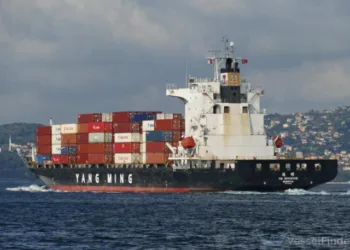 Arkas Bunker supplies biofuel to Yang Ming boxship