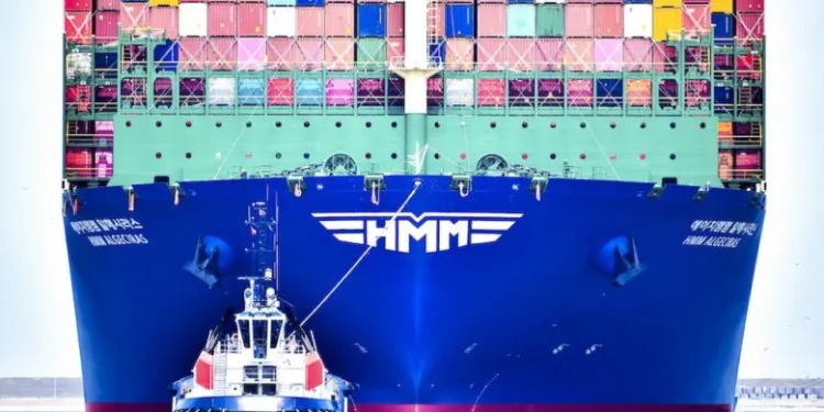Boxship orders grow by over 50%, as deliveries set record highs