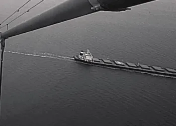 China bulk carrier suspected in Baltic cable damage