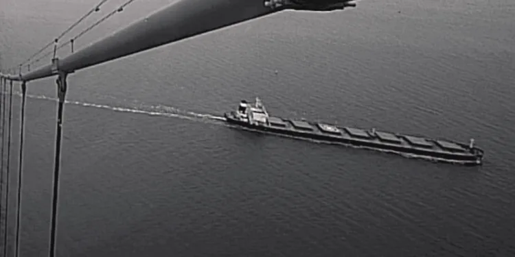 China bulk carrier suspected in Baltic cable damage