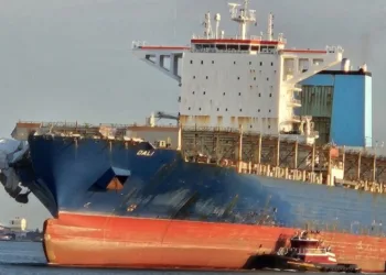 Dali arrives in China for repairs