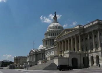 Election 2024: US lawmakers who support initiatives to fight freight fraud