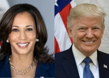 Harris or Trump? The effects on each shipping segment