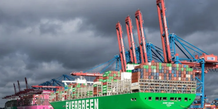 How to Prepare for a Career in Container Shipping as a Marketing Student