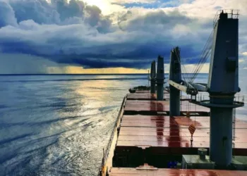 Indonesian logging firm takes fleet to eight vessels