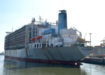 Live Animal Export: False hopes on a dying fleet