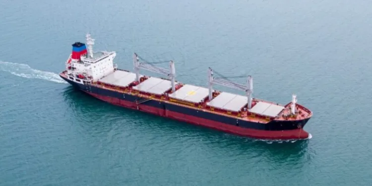 New Scandinavian dry bulk player launched