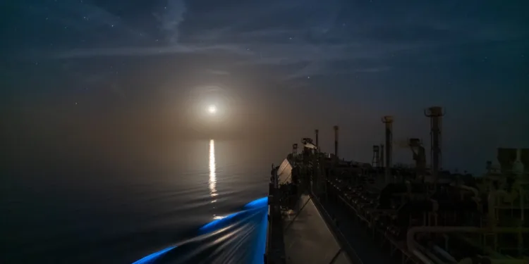 Record lows see LNG spot prices dip below $7,000 a day