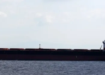 Sweden seeks bulk carrier linked to cable outage