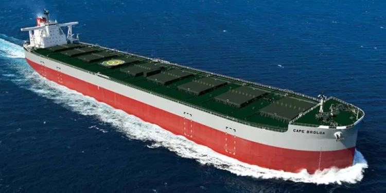 What is really driving the dry bulk shipping market?