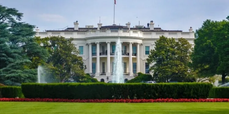 What Trump’s win means for the offshore markets