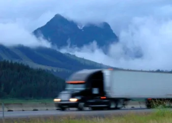 Christmas tree shipping season in full swing across the country