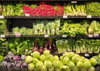 Data visibility and demand forecasting help eliminate waste in produce delivery 
