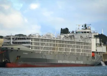 Maritime Union of New Zealand votes against resumption of live animal exports